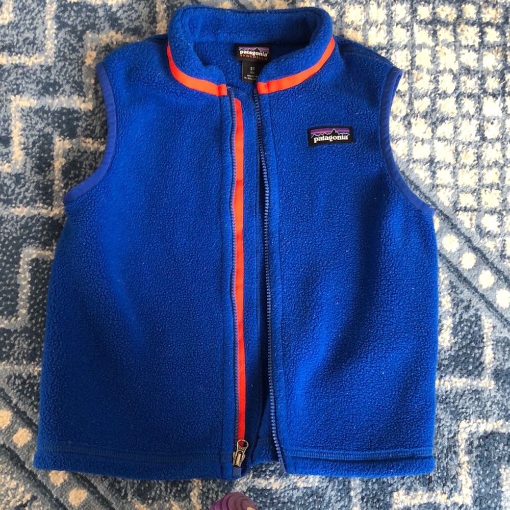 Patagonia vest